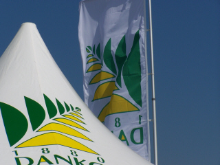 DANKO зернові культури рослинництво виведення жита пшениці тритикале вівса гороху бобових віки люцерни трав плевела фелустоліум в Польщі