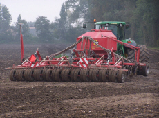 DANKO зернові культури рослинництво виведення жита пшениці тритикале вівса гороху бобових віки люцерни трав плевела фелустоліум в Польщі
