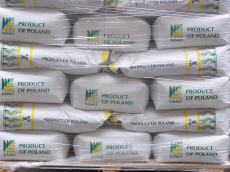 DANKO зернові культури рослинництво виведення жита пшениці тритикале вівса гороху бобових віки люцерни трав плевела фелустоліум в Польщі